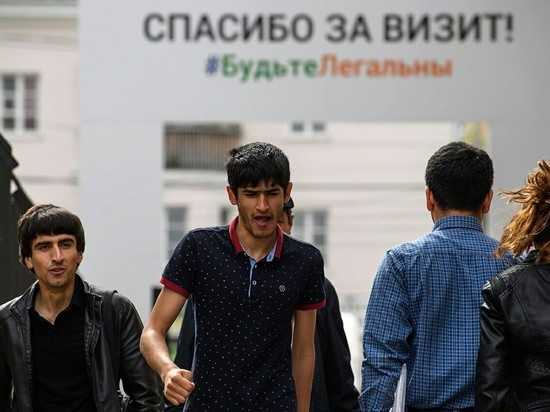Проблем с уволенными мигрантами в Петербурге не замечено