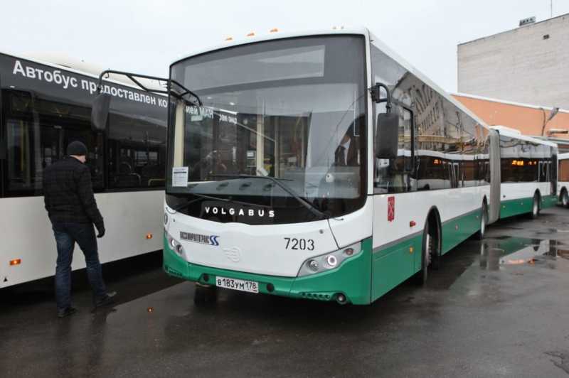 В Петербурге 120 автобусных маршрутов не будут работать на следующей неделе