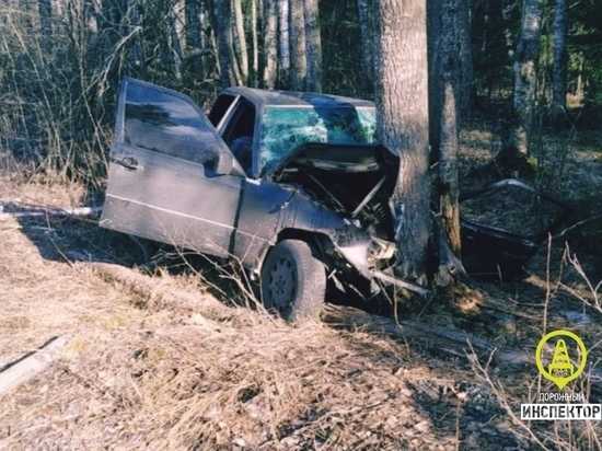 Молодой водитель погиб в Ленобласти, врезавшись в дерево