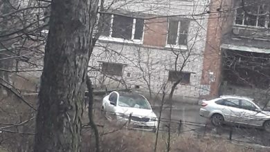 Во дворе дома 126 по проспекту Стачек дерево упало на автомобиль, люди походили, осмотрели,…