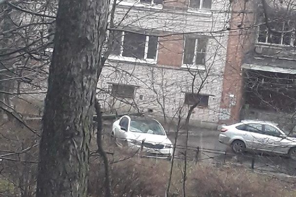 Во дворе дома 126 по проспекту Стачек дерево упало на автомобиль, люди походили, осмотрели,…