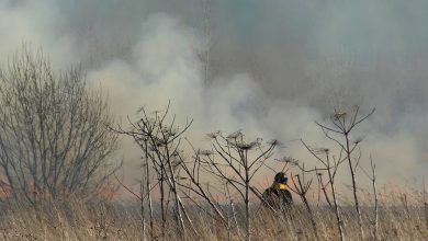 8 апреля примерно в 18 часов был масштабный поджог травы от Софийской до Московской…