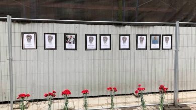 Стена памяти погибшим от коронавируса медикам появилась в центре на Малой Садовой улице, напротив…