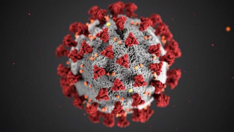 В Ленобласти еще 37 человек заболели коронавирусом
