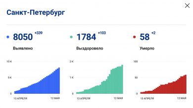 Результаты тестирования на коронавирус за последние сутки показали, что в Петербурге ещё 339 человек…
