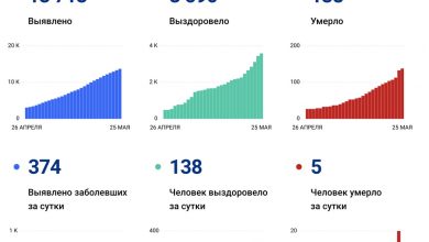 В Петербурге за последние сутки насчитали 374 новых заболевших, 138 выздоровевших и 5 смертей….