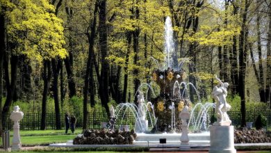 Вход в Летний сад может стать платным после снятия ограничений Генеральный директор Русского музея…