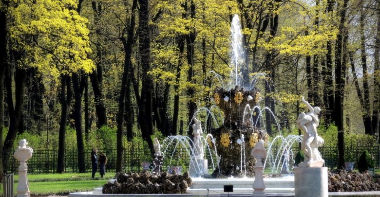 Вход в Летний сад может стать платным после снятия ограничений Генеральный директор Русского музея…