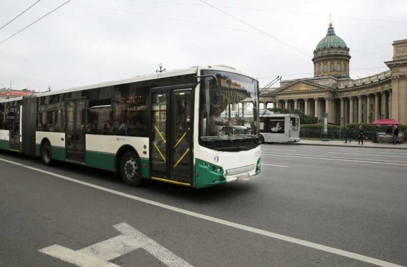 С 1 июня на дороги Петербурга вернутся 17 автобусных маршрутов
