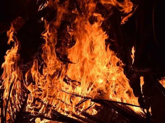 Пожар в Ленобласти подбирается к военному полигону