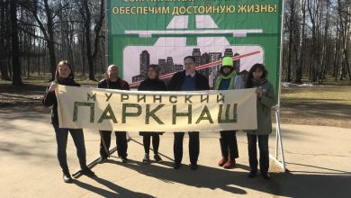 Городской суд Петербурга удовлетворил иск защитников Муринского парка и признал недействующим постановление правительства, которым…