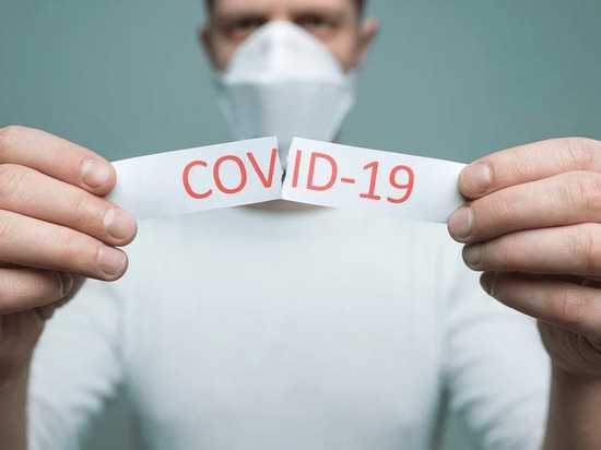 В Петербурге за сутки подтвердили 31 смерть от коронавируса