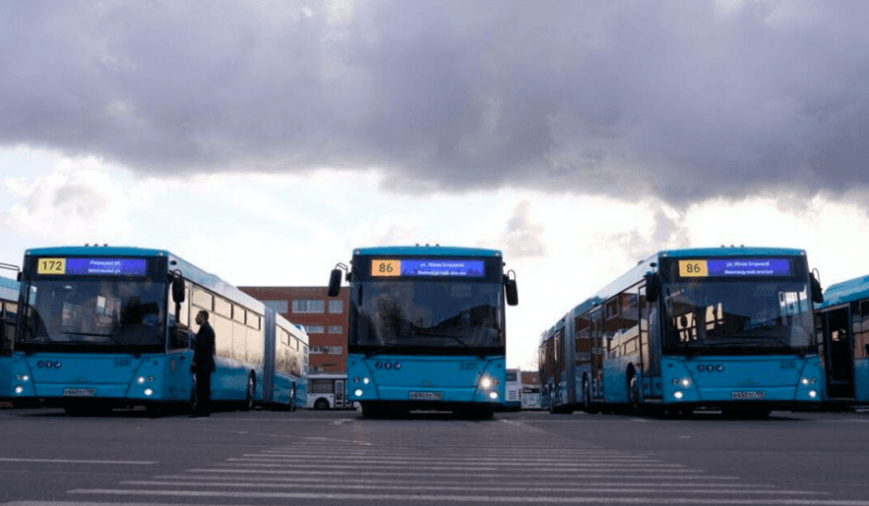Петербург получил 100 новых двухсекционных автобусов