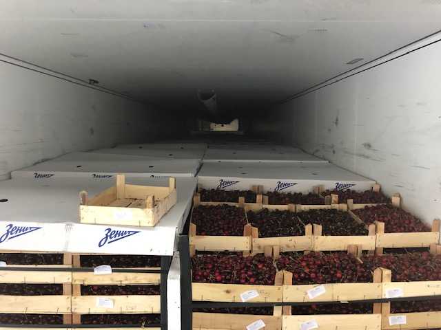 Сербские ягоды прибыли в Петербург в ящиках со знаком "Зенит" на крышках