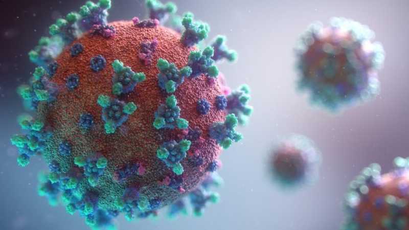 В Петербурге выявили 234 новых случая коронавируса