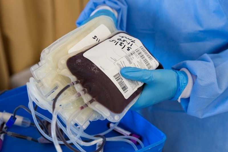 В Петербурге зарегистрировано 50 тысяч доноров крови