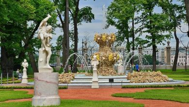 Летний сад откроется для посетителей 15 июля, а Михайловский сад — 8 июля. В…