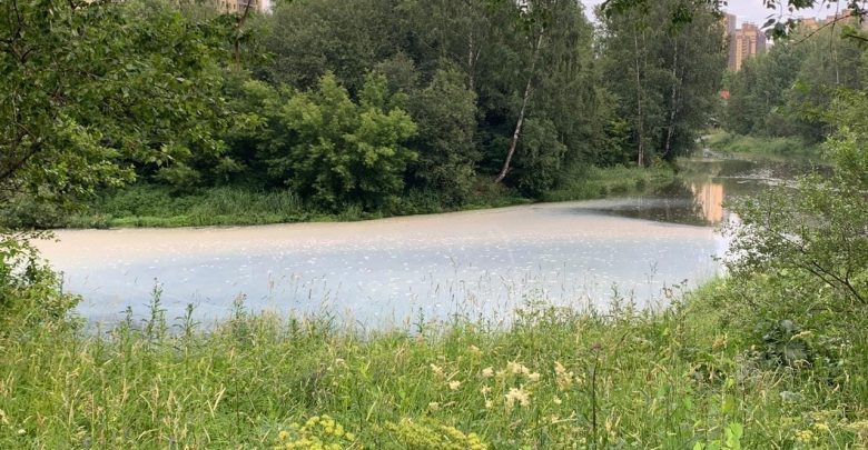 Комментарий Водоканала на новость о цвете воды в реке Славянке. Новость вчера: Вечером 7…