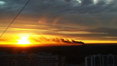 15 июля в 21:38 в Приморском районе, на территории Большая Каменка, в поле сгорела…