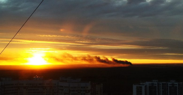 15 июля в 21:38 в Приморском районе, на территории Большая Каменка, в поле сгорела…