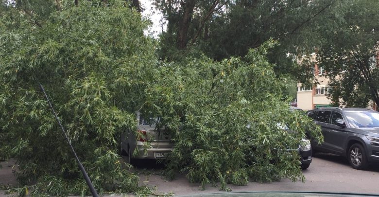 Накрыло На Передовиков у дома 25 дерево упало на машины