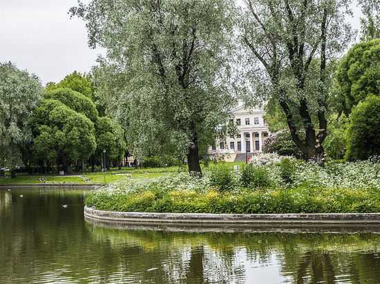 Сады и парки Петербурга закрыли из-за сильного ветра