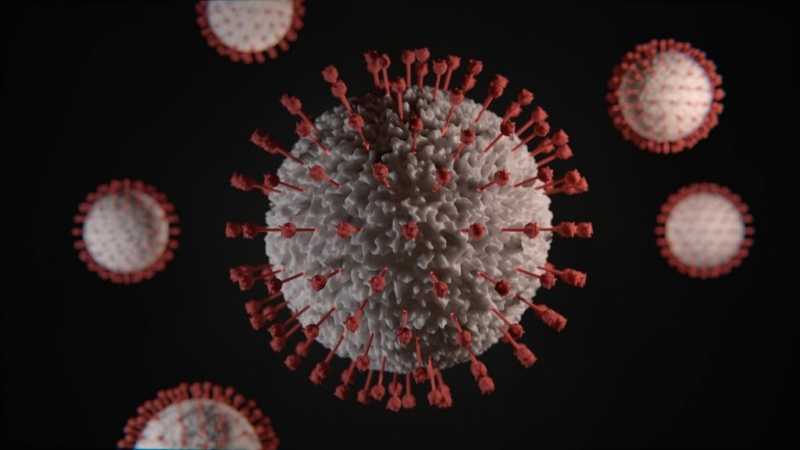 В Петербурге подтверждена еще 31 смерть от коронавируса