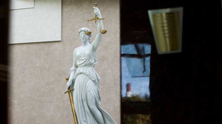 Адвокатов по делу Ефремова обвинили в нарушении кодекса этики |