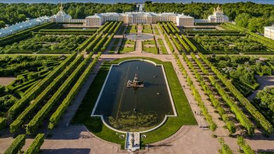 Музей-заповедник «Петергоф» планирует выделить 932,9 млн рублей на реставрацию Верхнего сада. Завершить все работы…