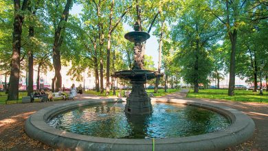 В Румянцевском саду восстановят пострадавшие от рук вандалов фонтаны. Соответствующее распоряжение дал губернатор Александр…