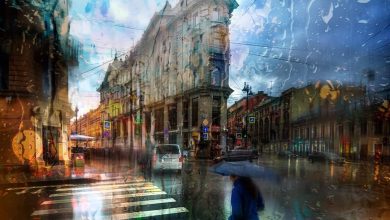 В этом году лето в Петербурге оказалось самым дождливым — так много дождей не…