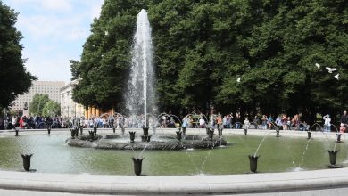 Пять фонтанов восстановят в Петербурге до конца текущего года. Это будут два фонтана у…