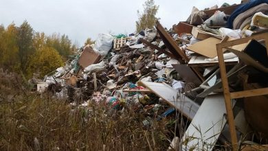 Жители Шушар обнаружили огромную свалку. Площадь мусорного скопления составила более 1,5 тысяч квадратных метров….
