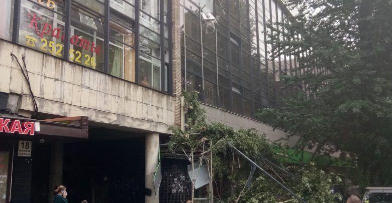 На дом №18 на Нарвском проспекте упало дерево. [id12039724|Пётр] во время падения дерева, немного…
