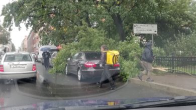 На Чкаловском проспекте, напротив школы №51 на машину упало дерево