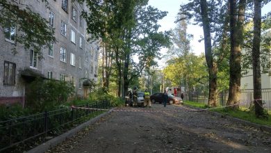 На улице Шелгунова у дома 22 угроза обрушения дерева на жилой дом или на…