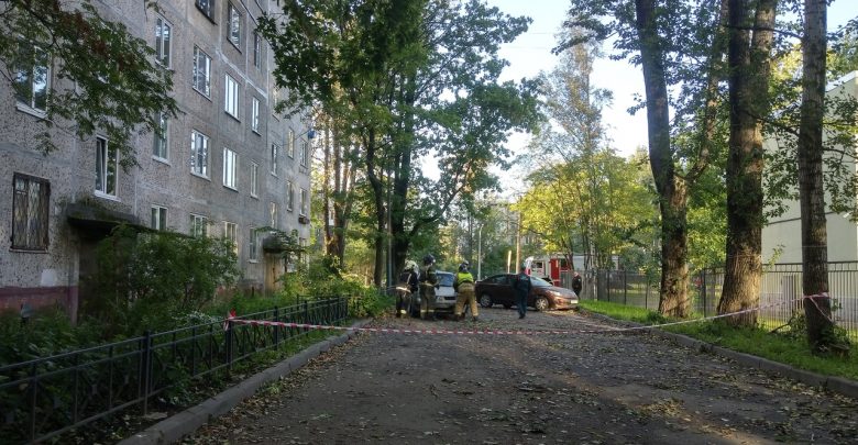 На улице Шелгунова у дома 22 угроза обрушения дерева на жилой дом или на…