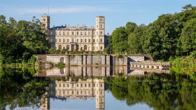 Гатчина получит статус столицы Ленинградской области до конца года, сообщает в среду пресс-служба регионального…