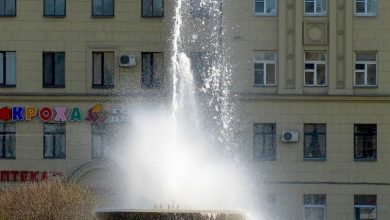 В Петербурге в следующем году в рамках программы по восстановлению и реконструкции городских фонтанов…