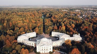 Павловский дворец. Фото: alekseevartemd