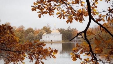Осеннее очарование, Екатерининский парк golovdinov