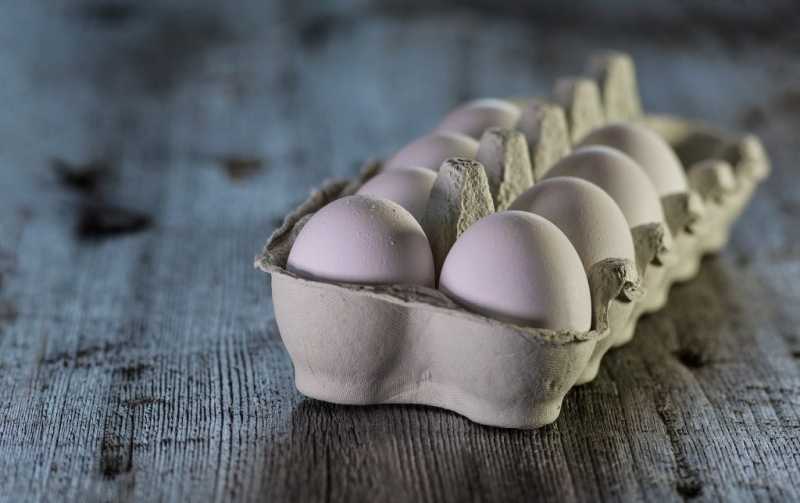 Названы виды яиц, которые опаснее яда