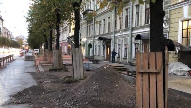 В ходе работ по «благоустройству» на улице Чайковского видимо решили погубить деревья. Вчера и…