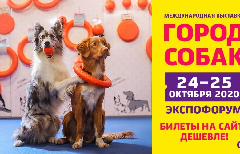 24–25 октября отправляемся в «Город собак» в Экспофоруме! 🐕 Выставка редких пород,…