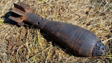 В Пушкинском и Приморском районах Петербурга обнаружили два боеприпаса времён Великой Отечественной войны. Опасные…