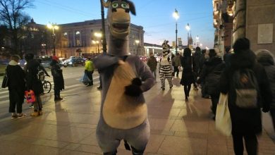 Жители Петербурга пожаловались на «коронавирусных» коней на Невском. По словам горожан, аниматоры внаглую пристают…