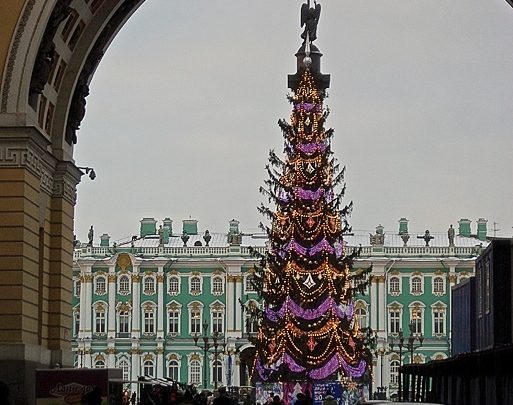 Главную новогоднюю ёлку Петербурга привезут на Дворцовую площадь из Всеволожского района Ленинградкой области. Рост…