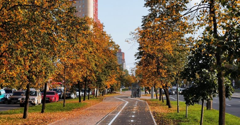 На Бухарестской улице открыли новую велодорожку, протяженностью 3,1 километра. Она соединяет сразу три станции…