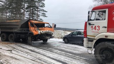 В Приозерском районе Ленобласти столкнулись три грузовых автомобиля: два «КамАЗа» и Volvo. В результате…