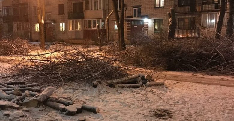 Жители двора на Бестужевской улице в печали: срубили почти все деревья во дворе. Черемухи…